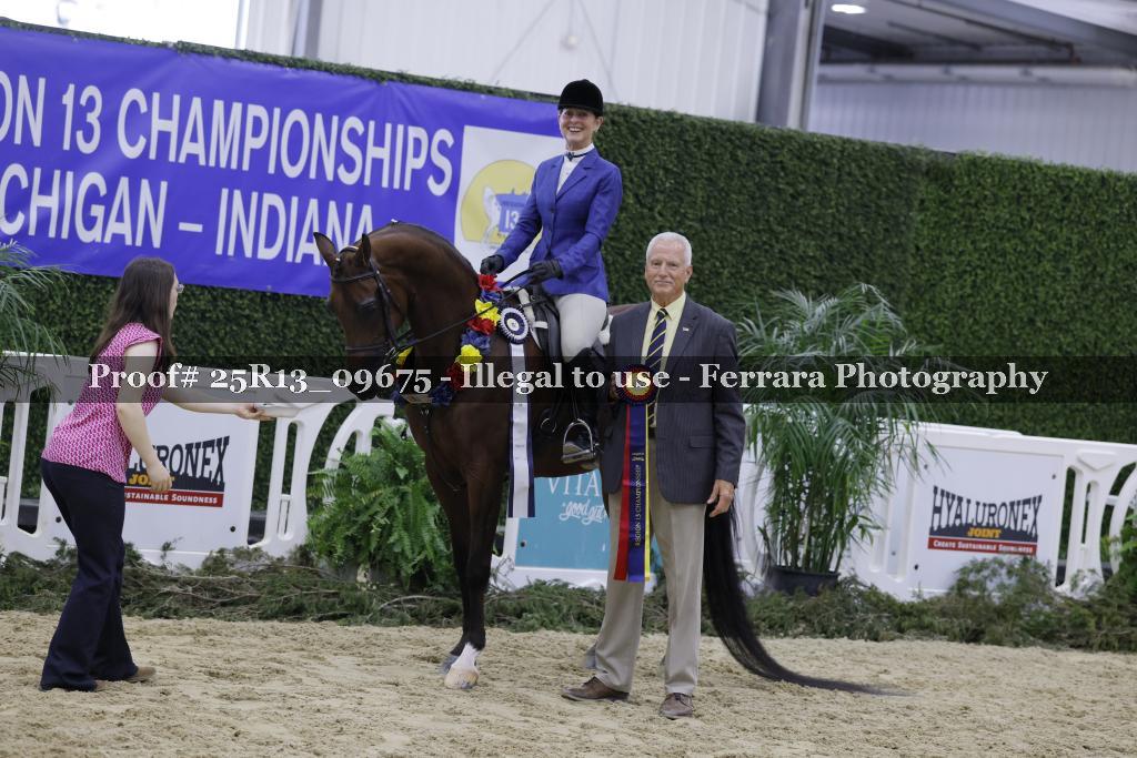 Proof 25R13_09675