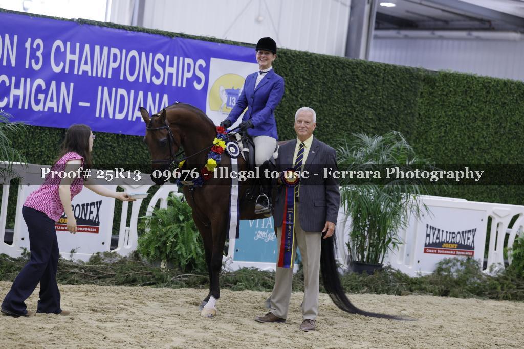Proof 25R13_09676