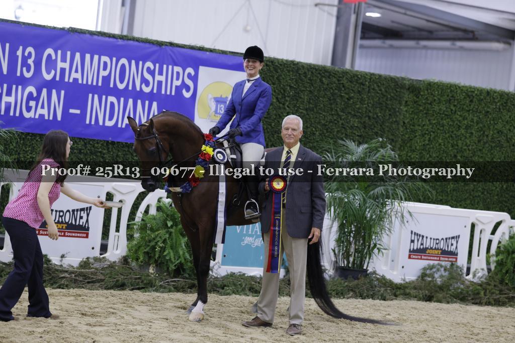 Proof 25R13_09677