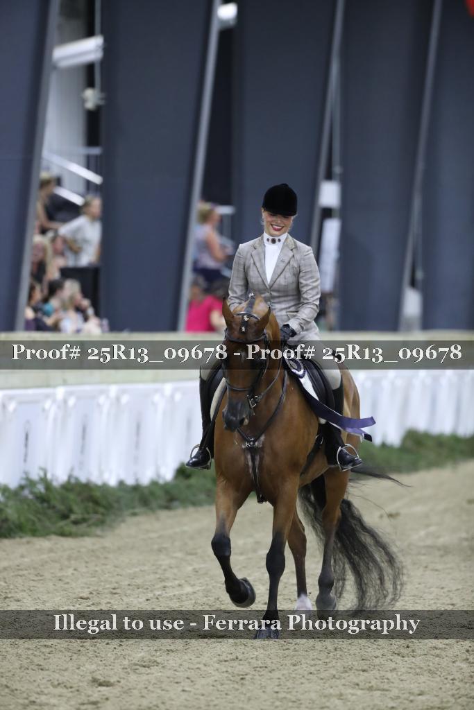 Proof 25R13_09678