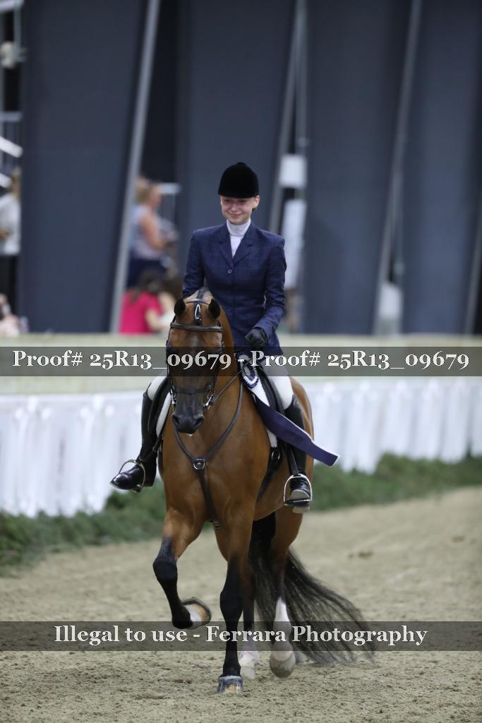 Proof 25R13_09679
