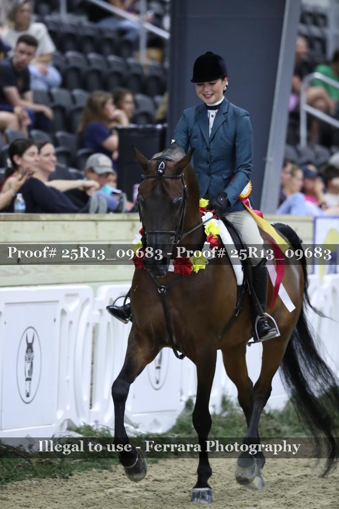 Proof 25R13_09683