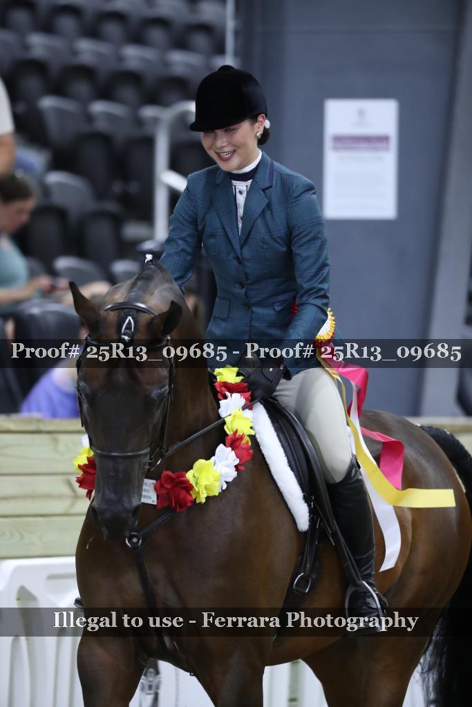 Proof 25R13_09685