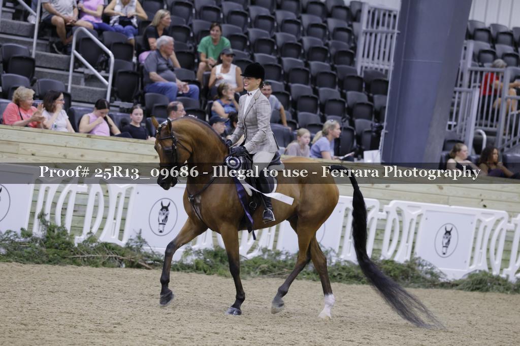 Proof 25R13_09686