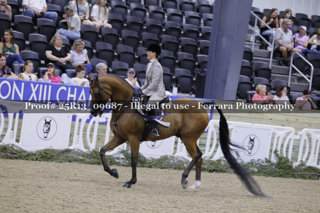 Proof 25R13_09687