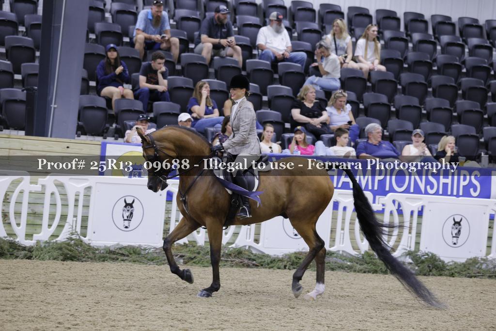 Proof 25R13_09688