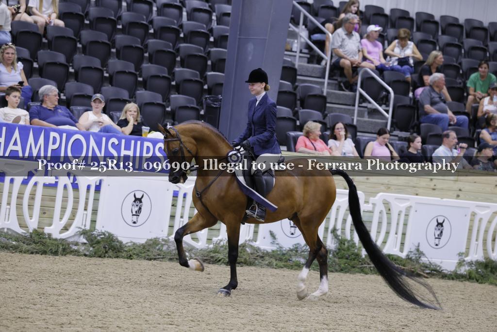Proof 25R13_09690