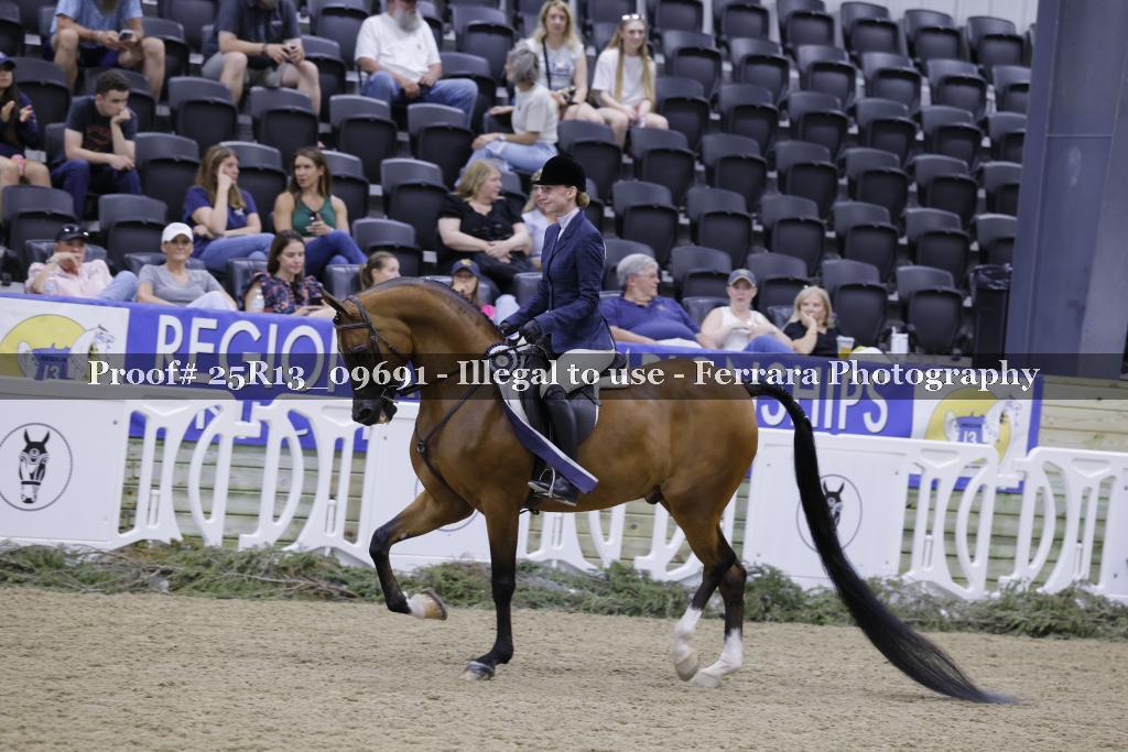 Proof 25R13_09691