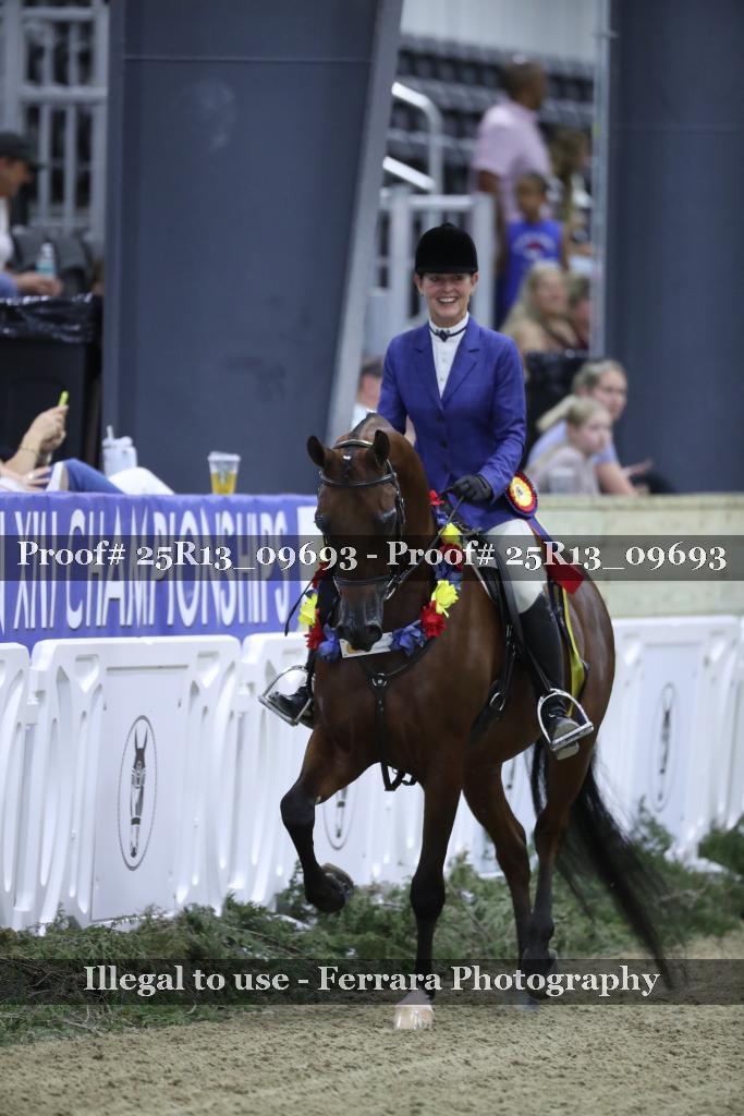 Proof 25R13_09693