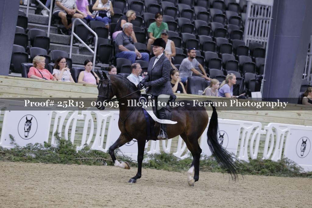 Proof 25R13_09695