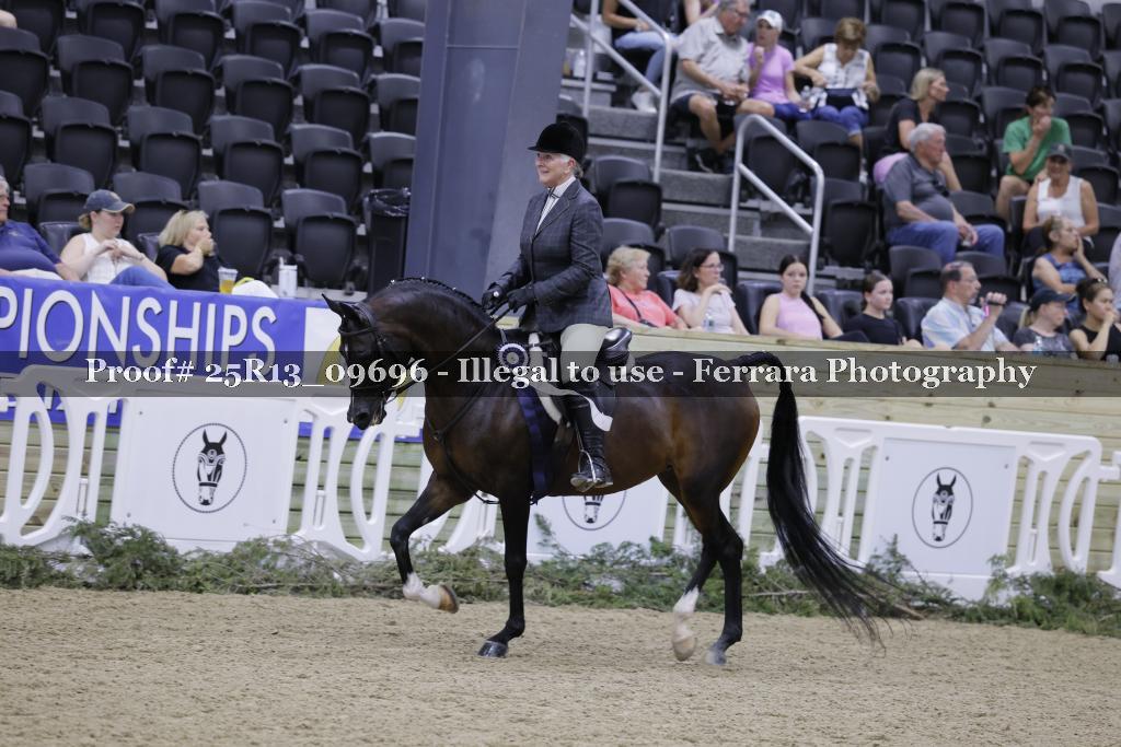 Proof 25R13_09696