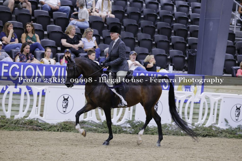 Proof 25R13_09698