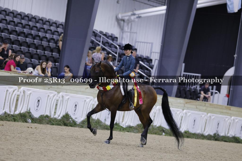 Proof 25R13_09699