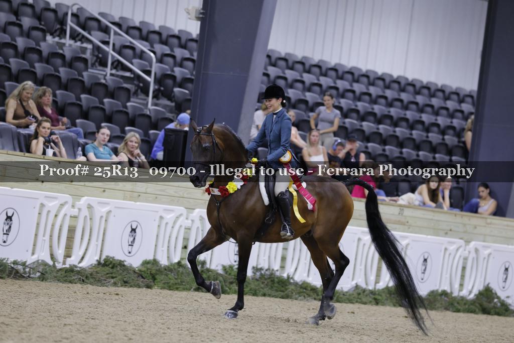 Proof 25R13_09700