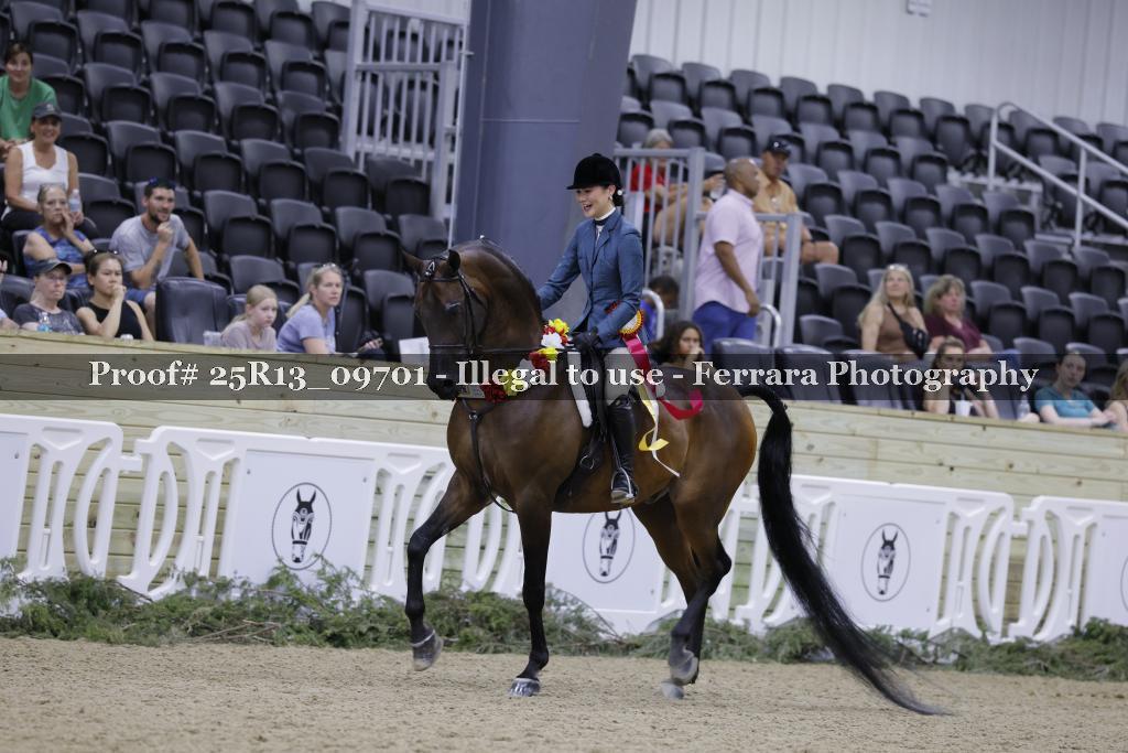 Proof 25R13_09701