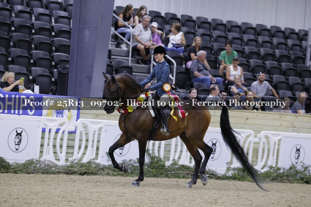 Proof 25R13_09702