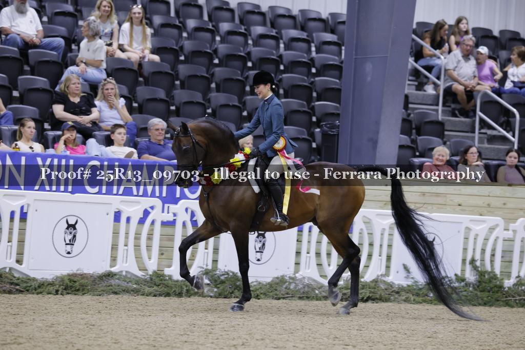 Proof 25R13_09703