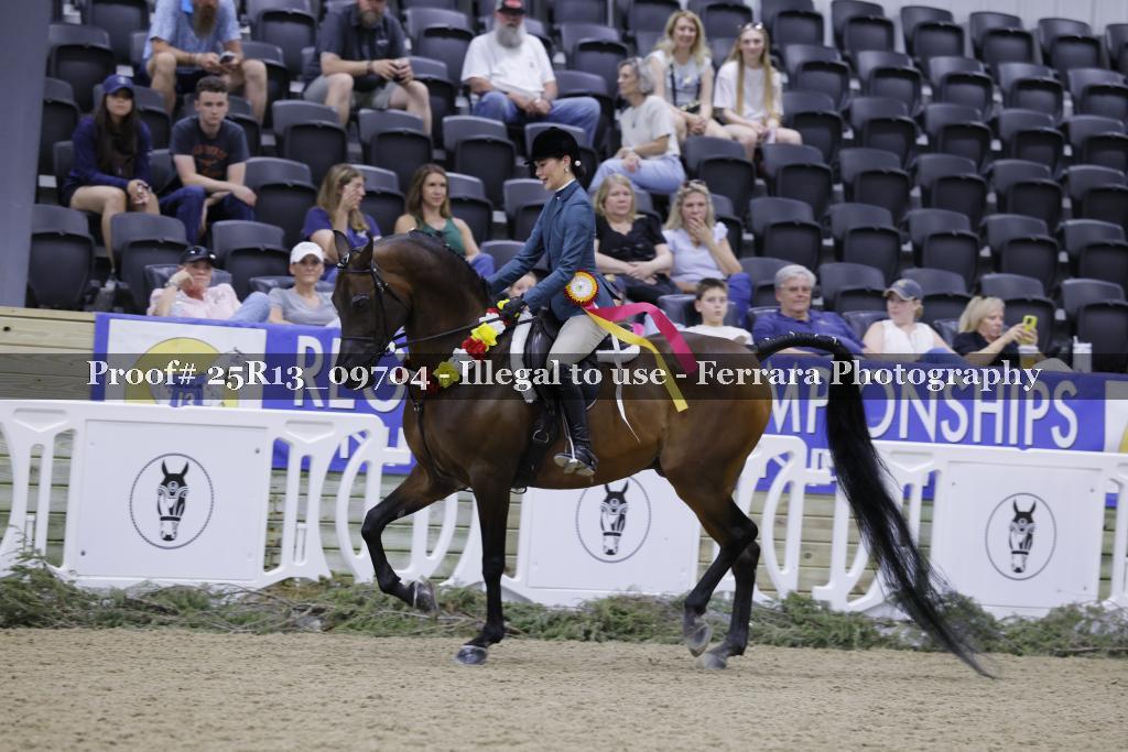 Proof 25R13_09704
