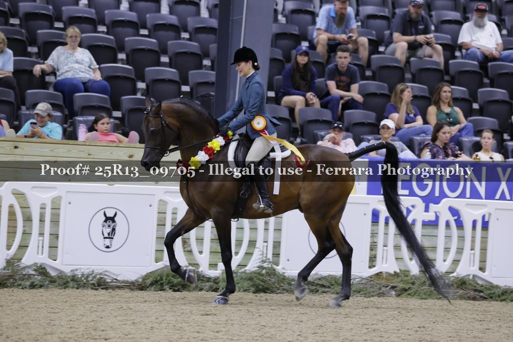 Proof 25R13_09705