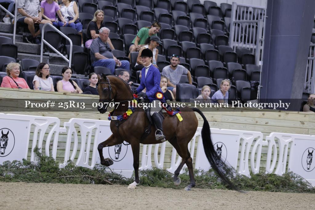 Proof 25R13_09707
