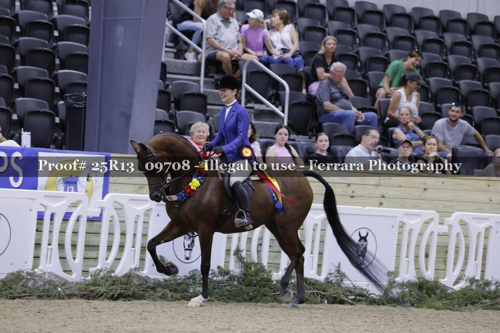 Proof 25R13_09708