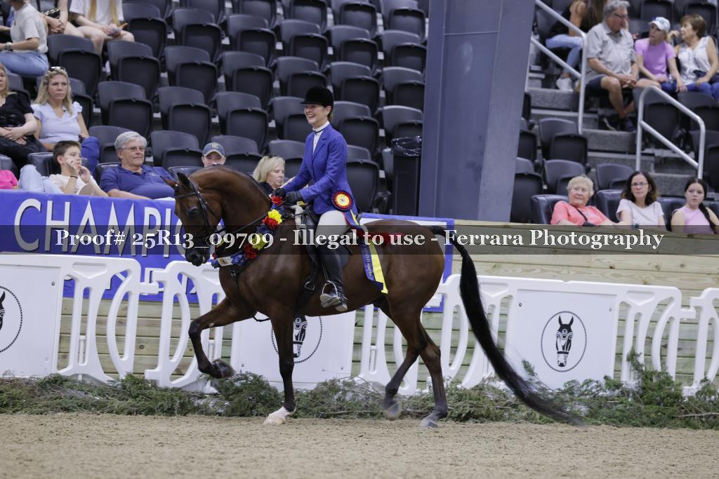 Proof 25R13_09709