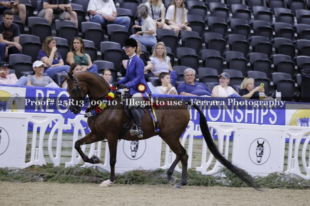 Proof 25R13_09710