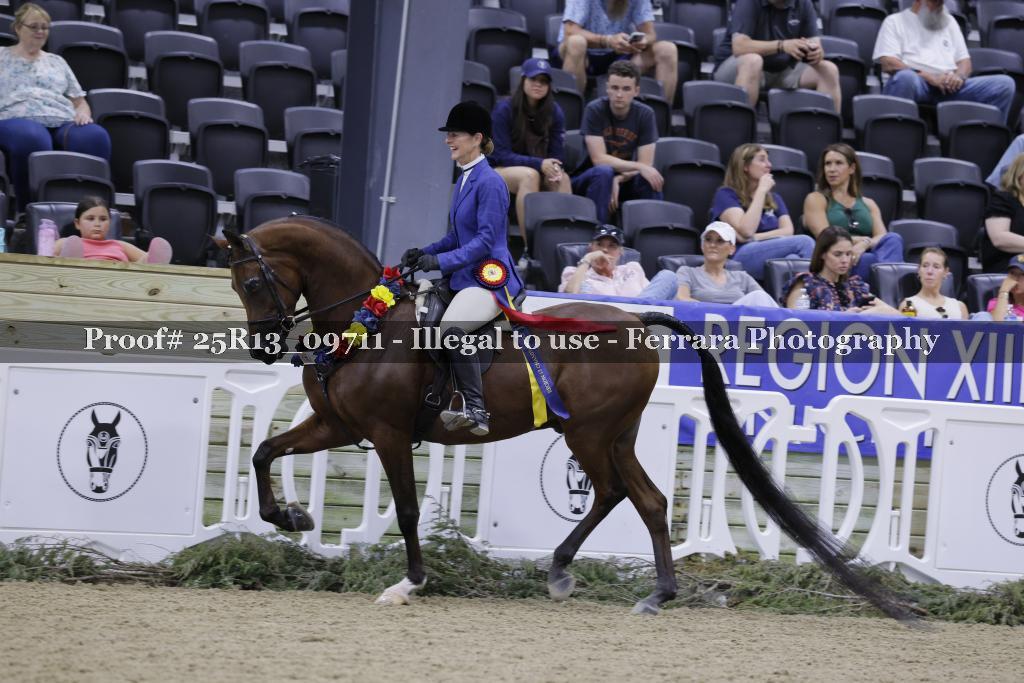 Proof 25R13_09711