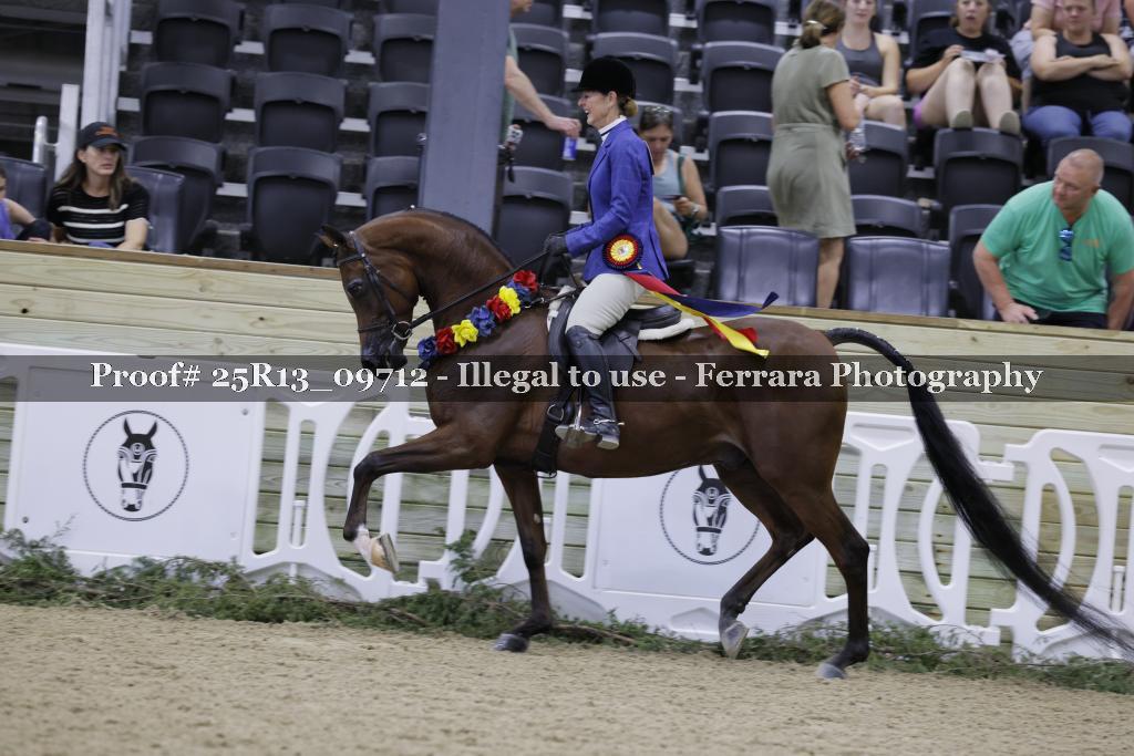 Proof 25R13_09712