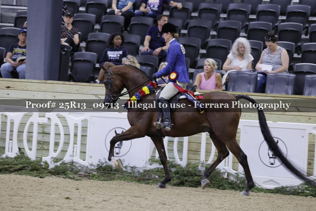 Proof 25R13_09713