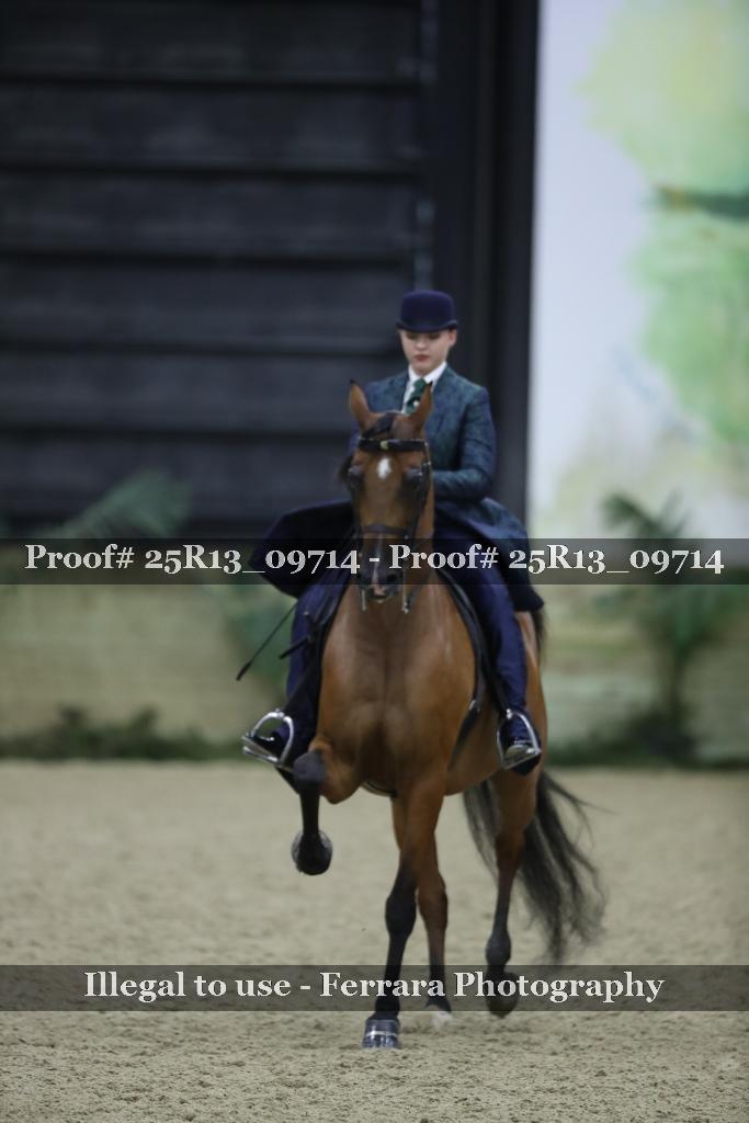 Proof 25R13_09714