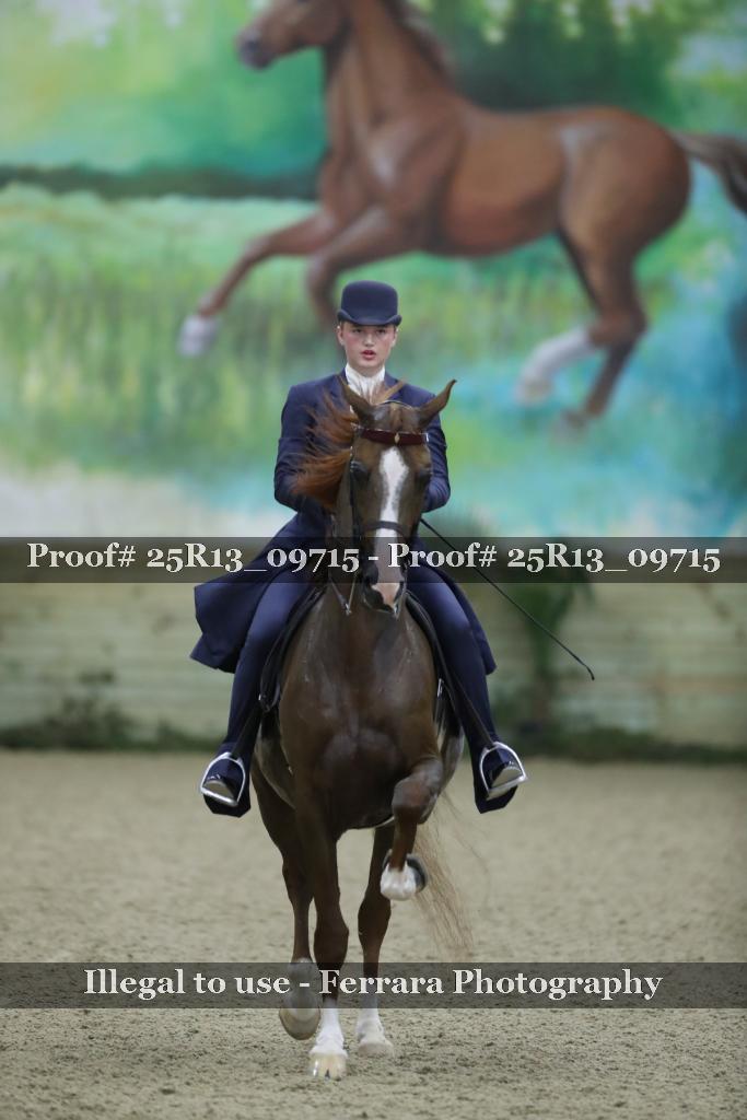 Proof 25R13_09715