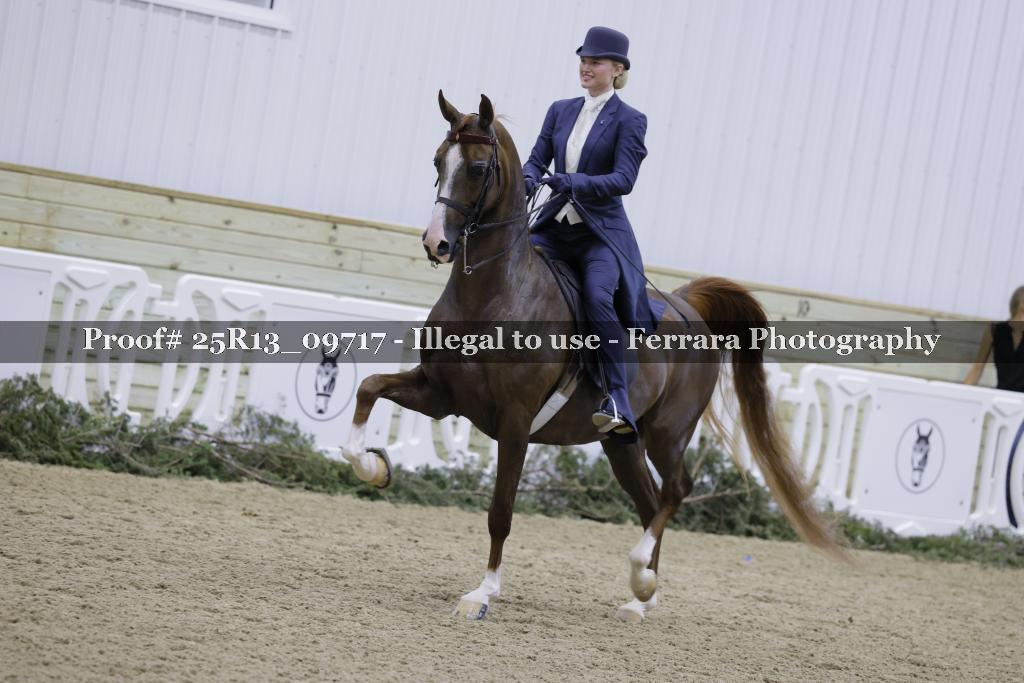 Proof 25R13_09717