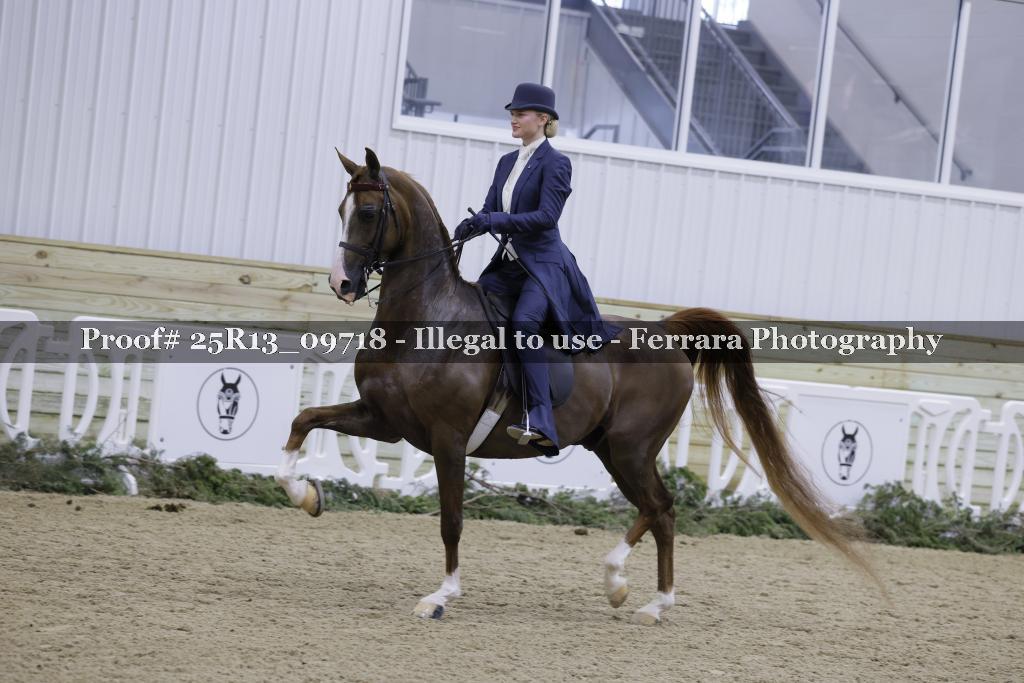 Proof 25R13_09718