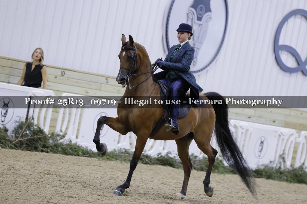 Proof 25R13_09719
