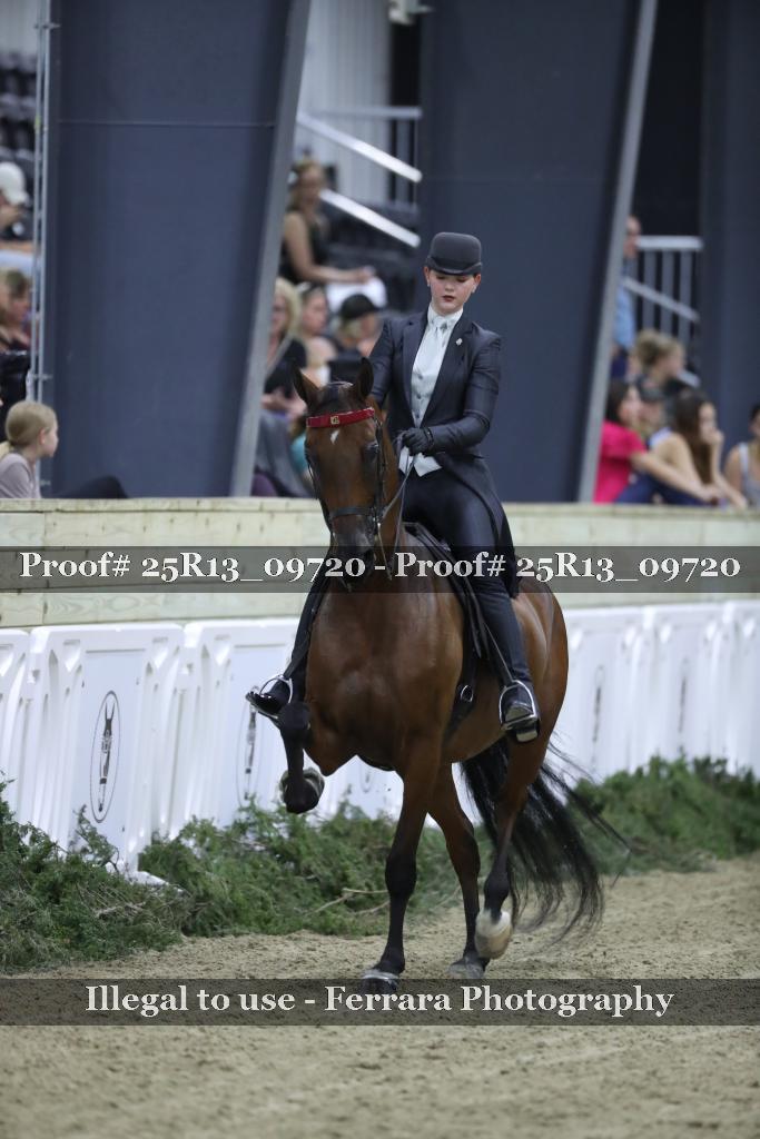 Proof 25R13_09720