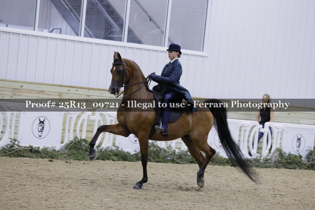 Proof 25R13_09721
