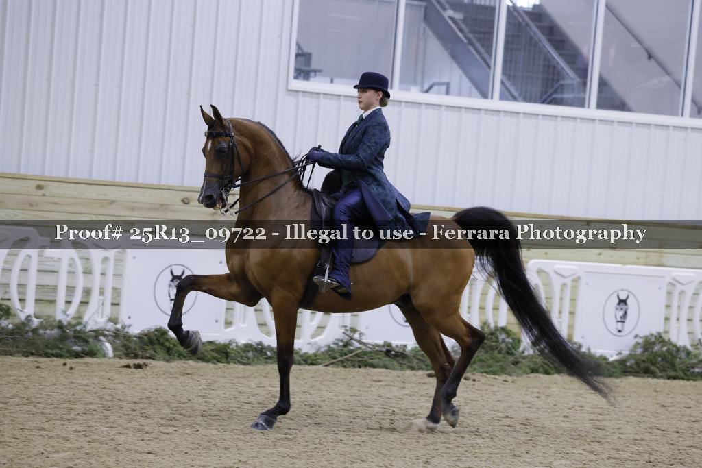 Proof 25R13_09722