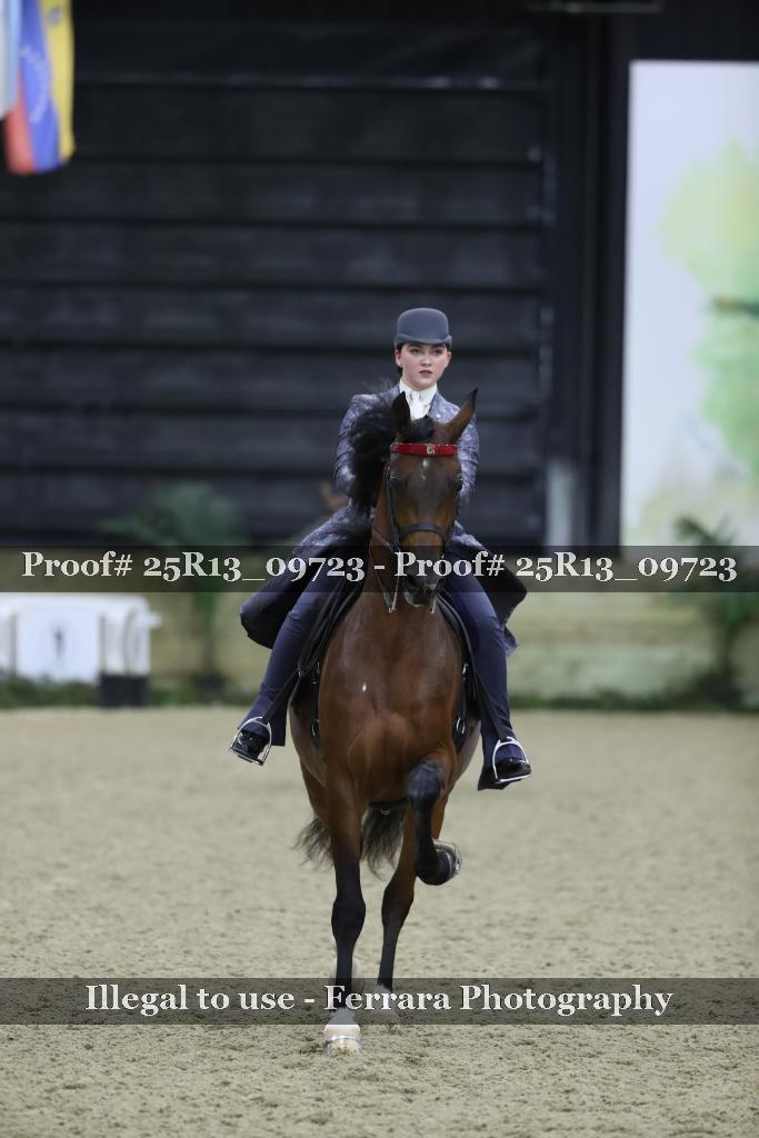 Proof 25R13_09723