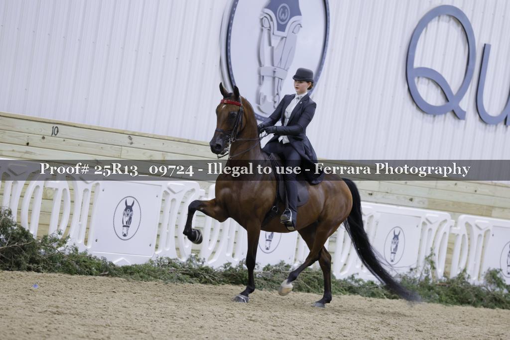 Proof 25R13_09724