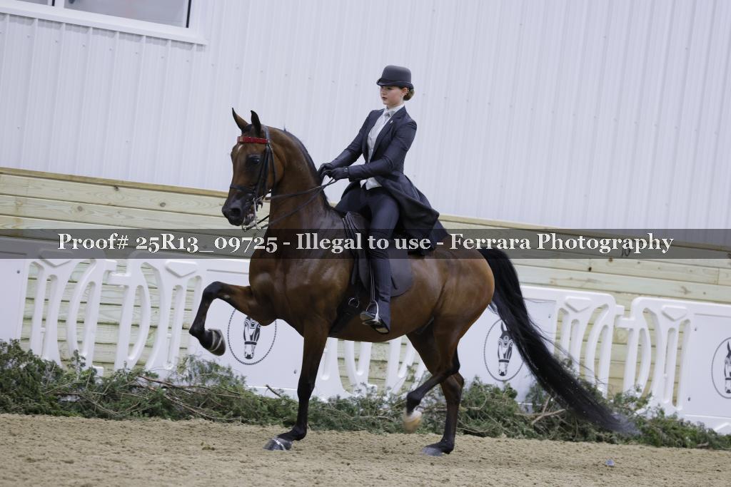 Proof 25R13_09725