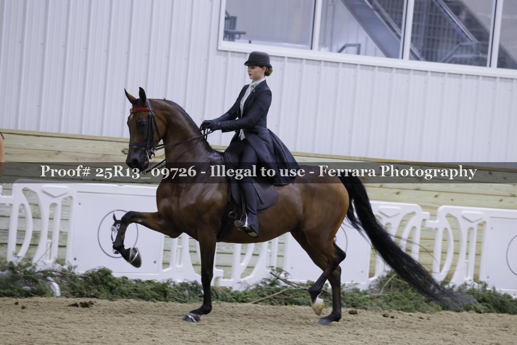 Proof 25R13_09726