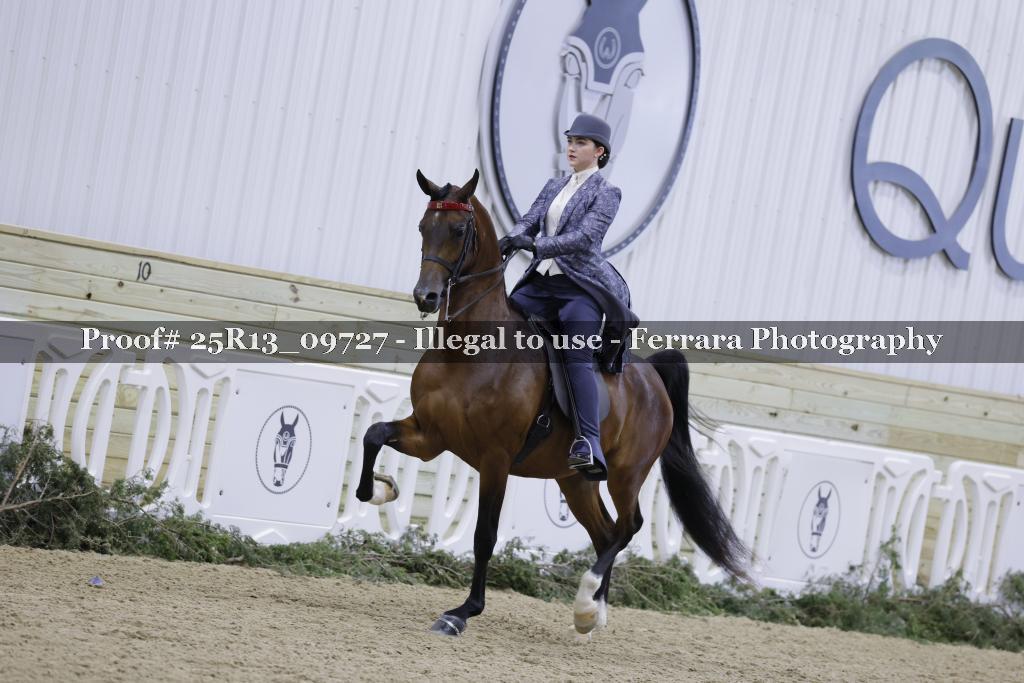 Proof 25R13_09727