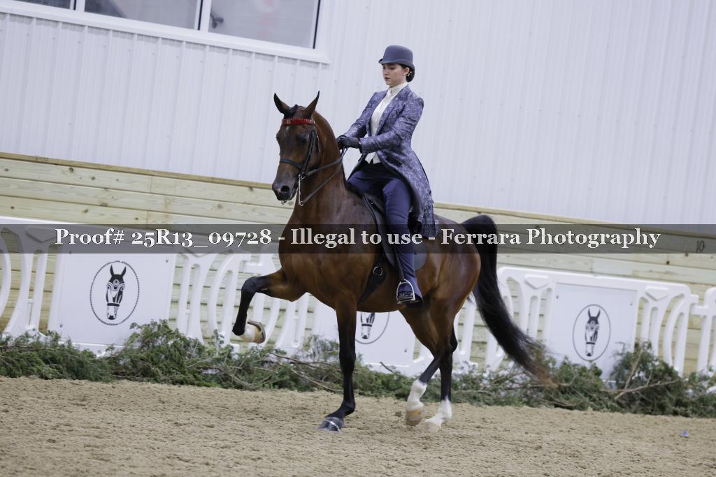 Proof 25R13_09728
