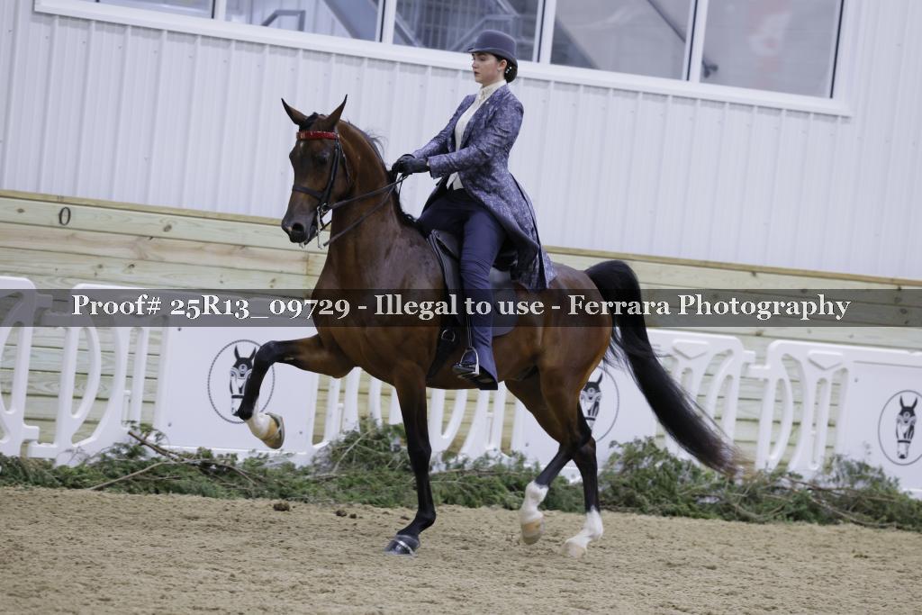 Proof 25R13_09729