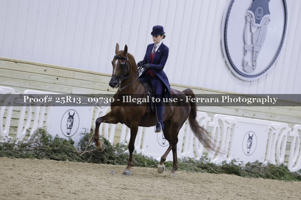 Proof 25R13_09730