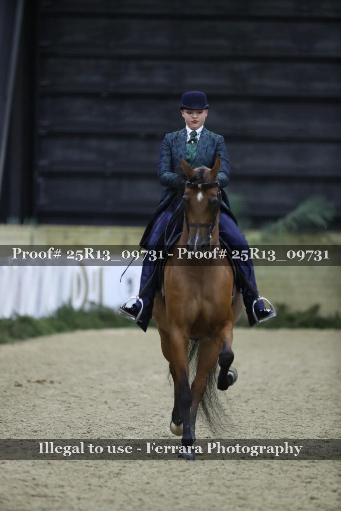 Proof 25R13_09731