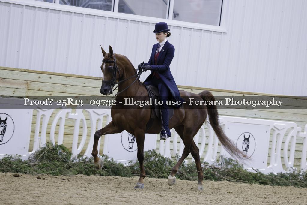 Proof 25R13_09732