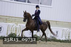 25R13_09732 proof