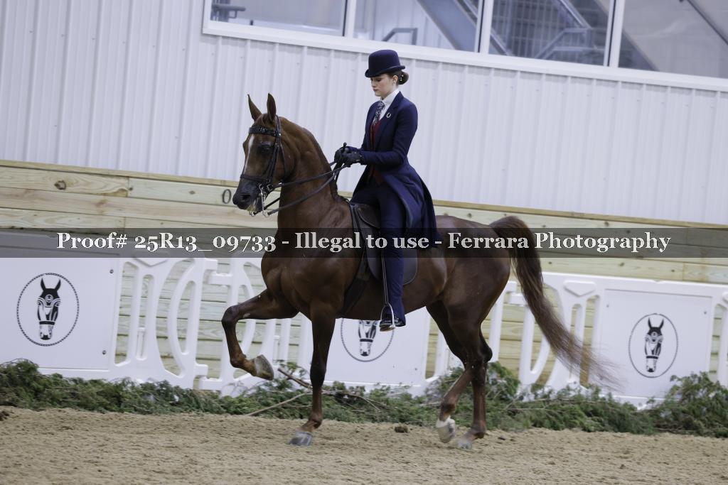 Proof 25R13_09733
